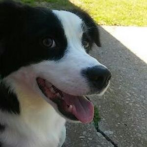 Meet your Posher, Jasmine